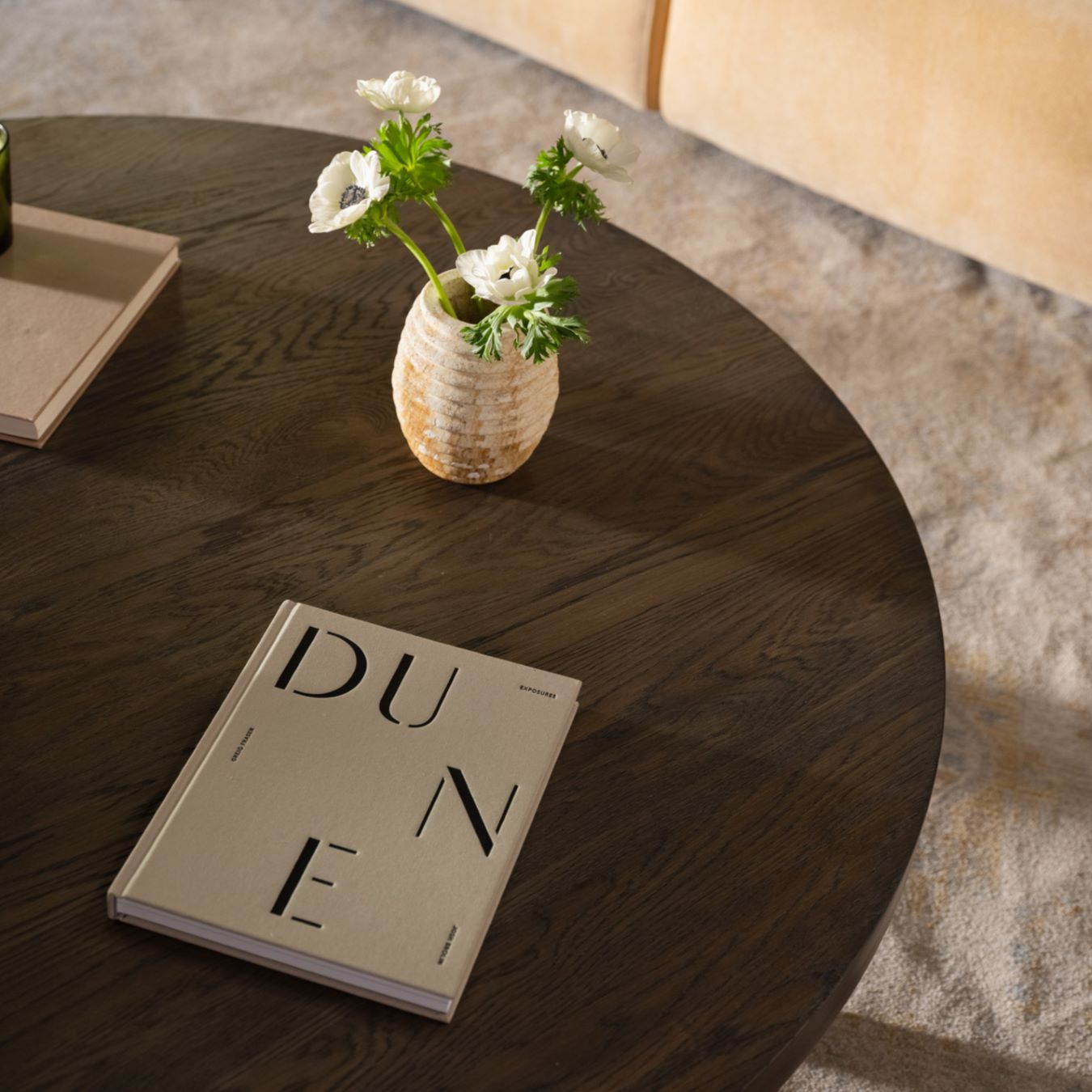 Moe’s Alden cool brown coffee table lifestyle angle view