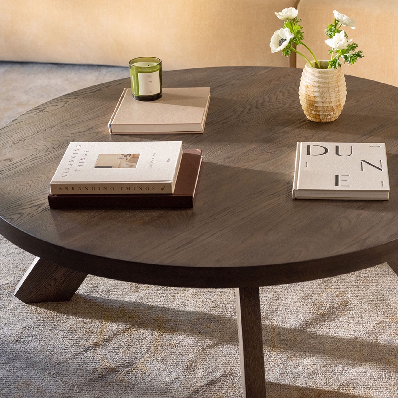 Moe’s Alden cool brown coffee table lifestyle view